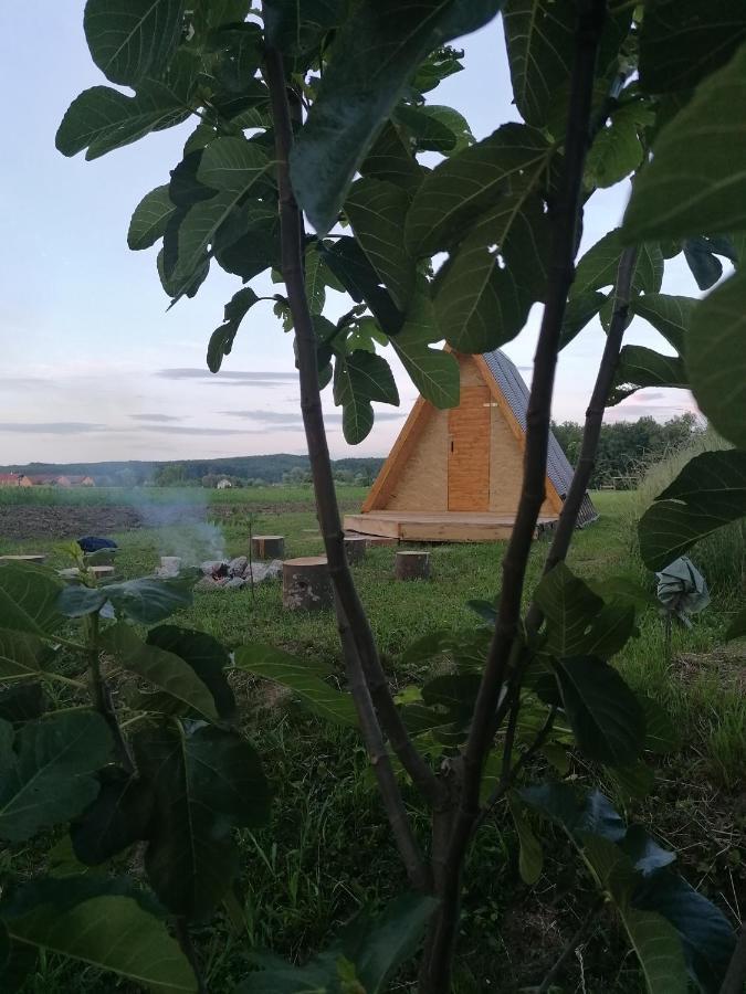 Studio Apartman Zorkovac Διαμέρισμα Ozalj Εξωτερικό φωτογραφία