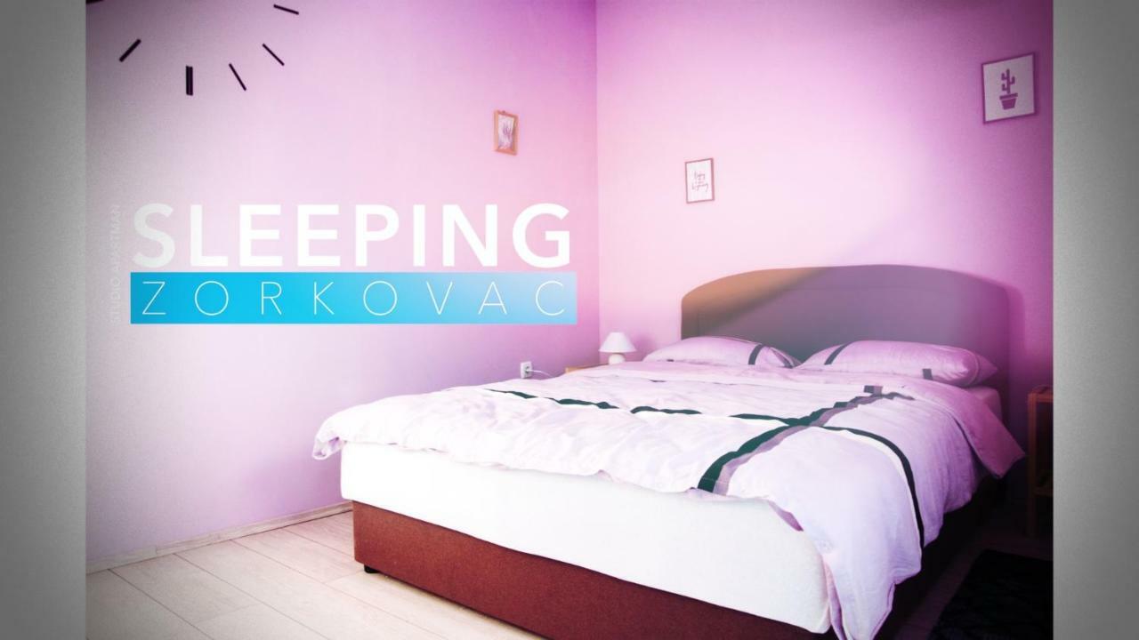 Studio Apartman Zorkovac Διαμέρισμα Ozalj Εξωτερικό φωτογραφία