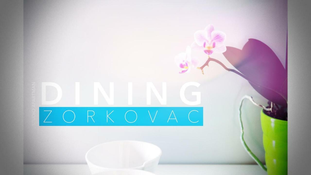 Studio Apartman Zorkovac Διαμέρισμα Ozalj Εξωτερικό φωτογραφία