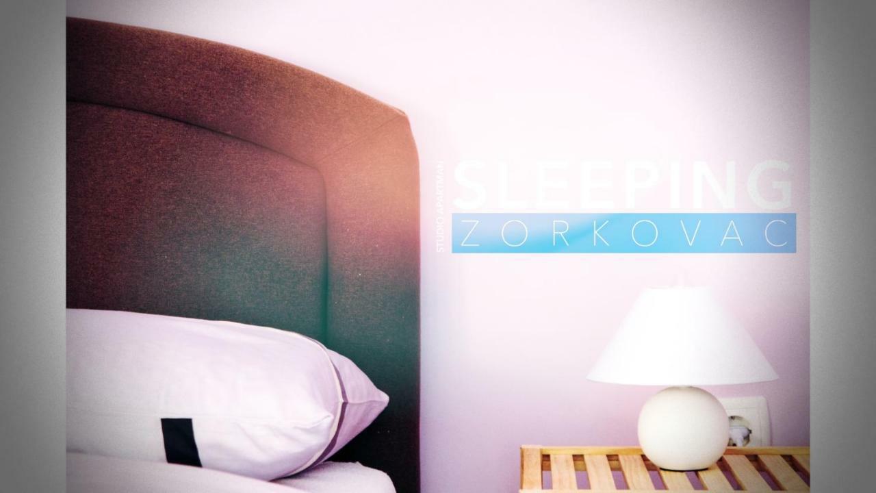 Studio Apartman Zorkovac Διαμέρισμα Ozalj Εξωτερικό φωτογραφία