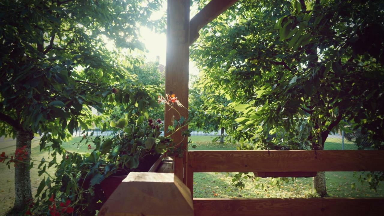 Studio Apartman Zorkovac Διαμέρισμα Ozalj Εξωτερικό φωτογραφία